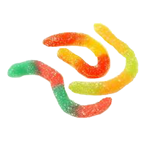 Gusanos Azucar B-250uds Damel