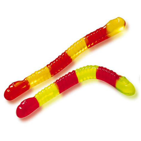 Gusanos Bicefalos B-250und Vidal