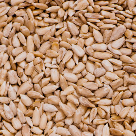 Pipa Pelada Frita Xanos 12x300grs