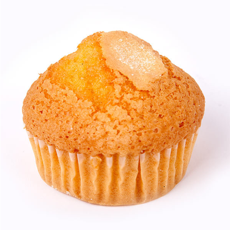 Magdalena Aceite 80grsx24u